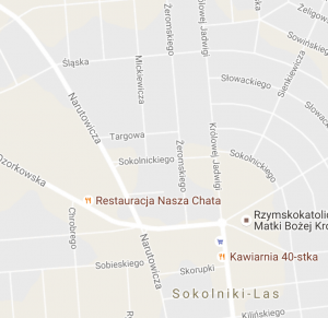 zrzut-ekranu-2016-11-03-o-22-27-30