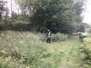 wycinka pokrzyw pod miejsce biwakowe 1