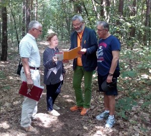 zanim powstanie Park